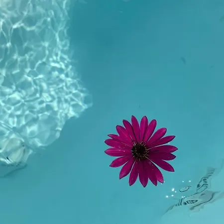 Santorini 180 Degrees * Pyrgos Kallistis