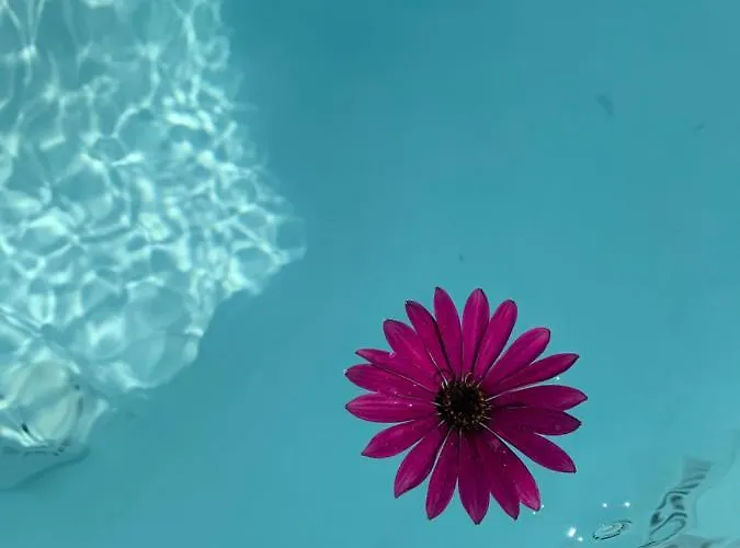 Santorini 180 Degrees * 피르고스